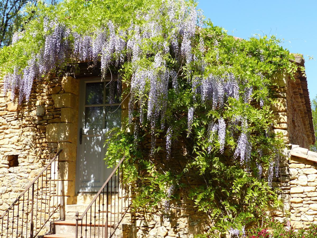 Chambres D'Hotes Les Boudines Saint-Germain-de-Belves Номер фото