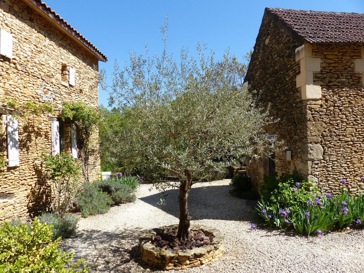 Chambres D'Hotes Les Boudines Saint-Germain-de-Belves Экстерьер фото